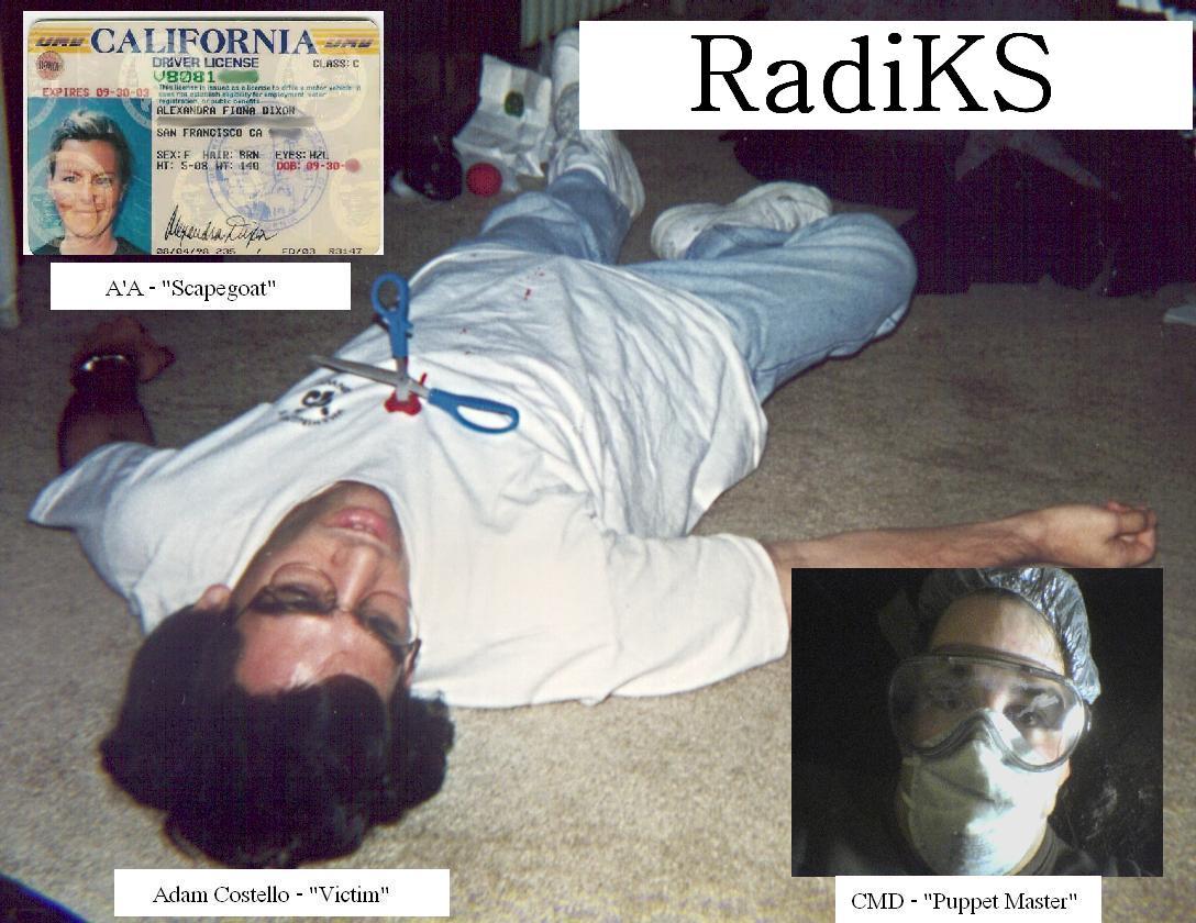 RadiKS OverNightmare application